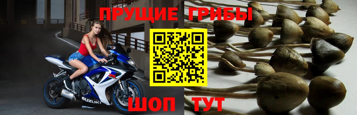 Галлюциногенные грибы MAGIC MUSHROOMS  Вход с VPN  Кинель 